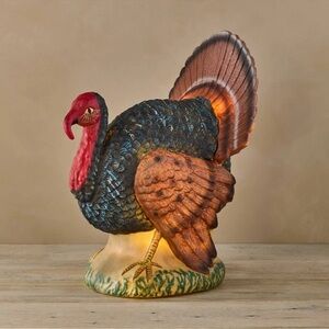 John Derian Target 2025 Turkey Thanksgiving Lighted Blow Mold 17.5” NEW W/TAGS